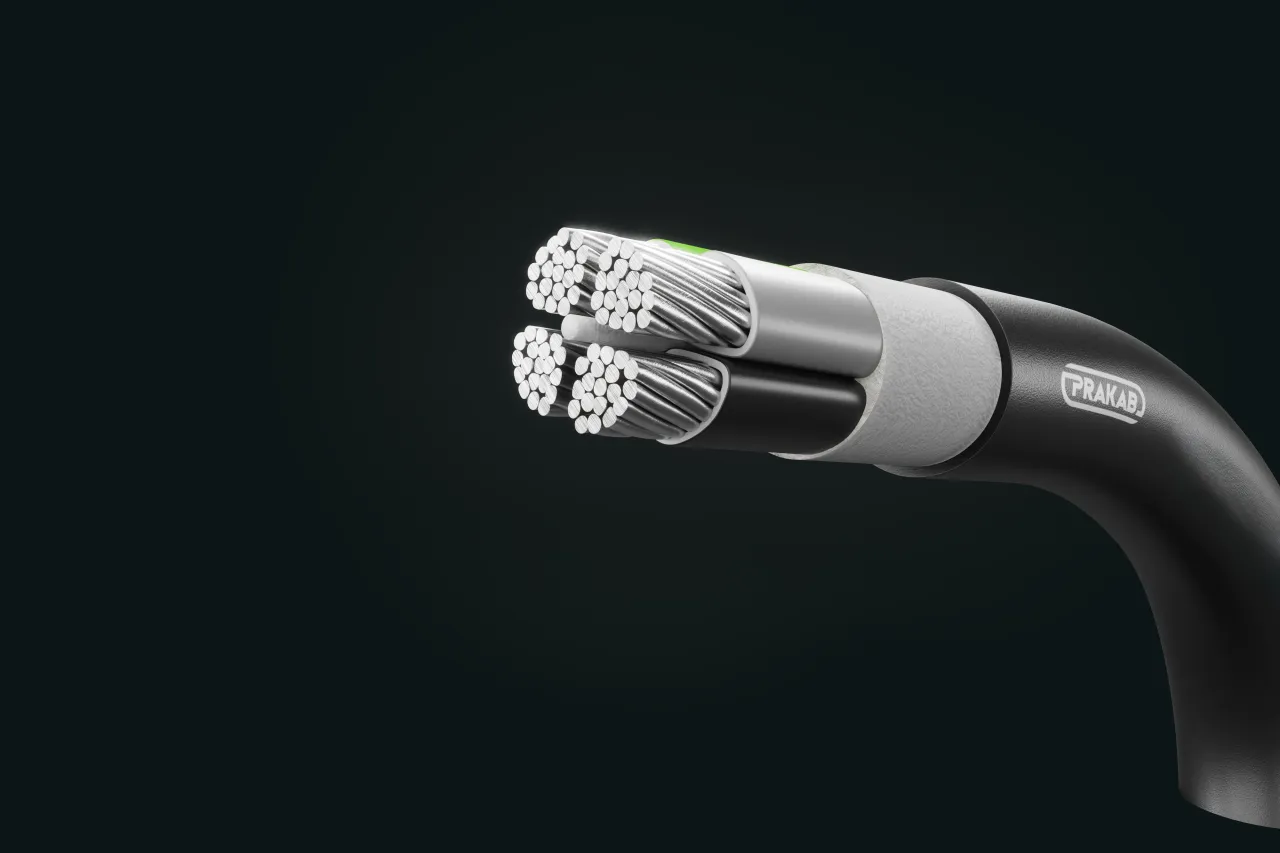 Cable image - PRAFlaSafe+ AX RAL 9005