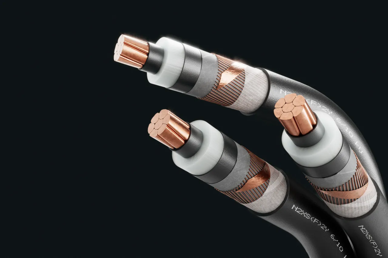 Kabelbild - N2XS(F)2Y 6/10 kV