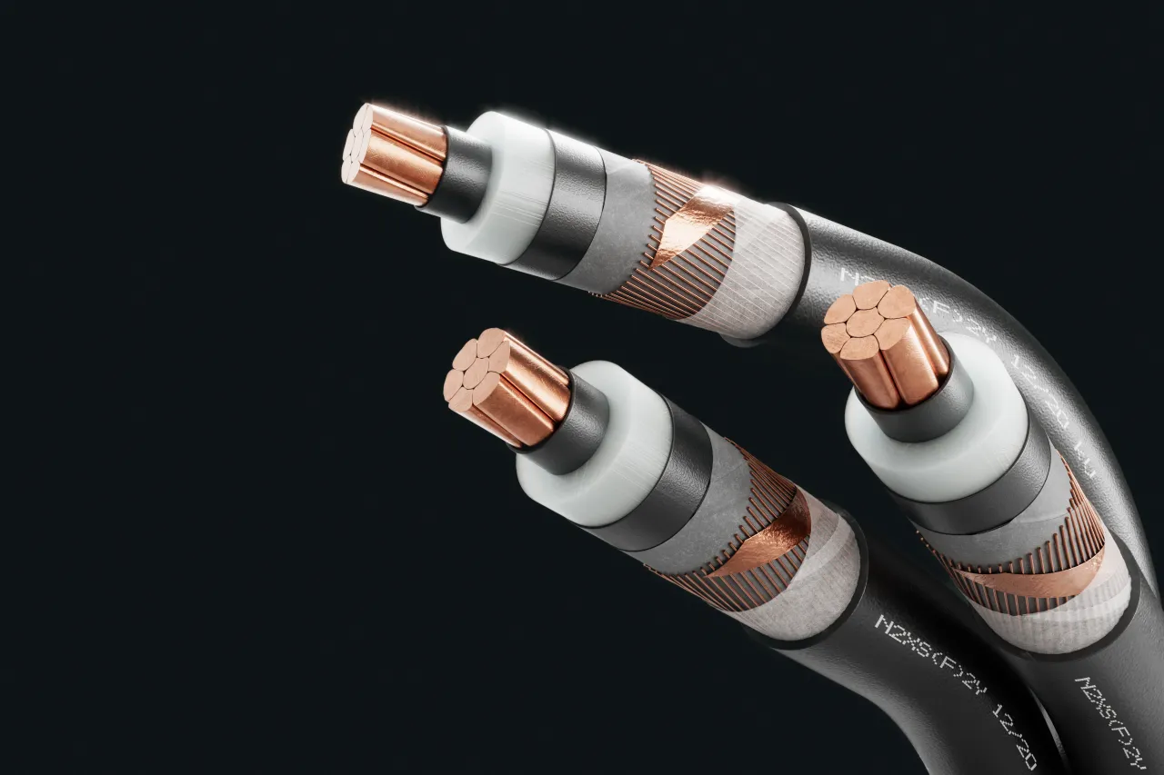 Kabelbild - N2XS(F)2Y 12/20 kV