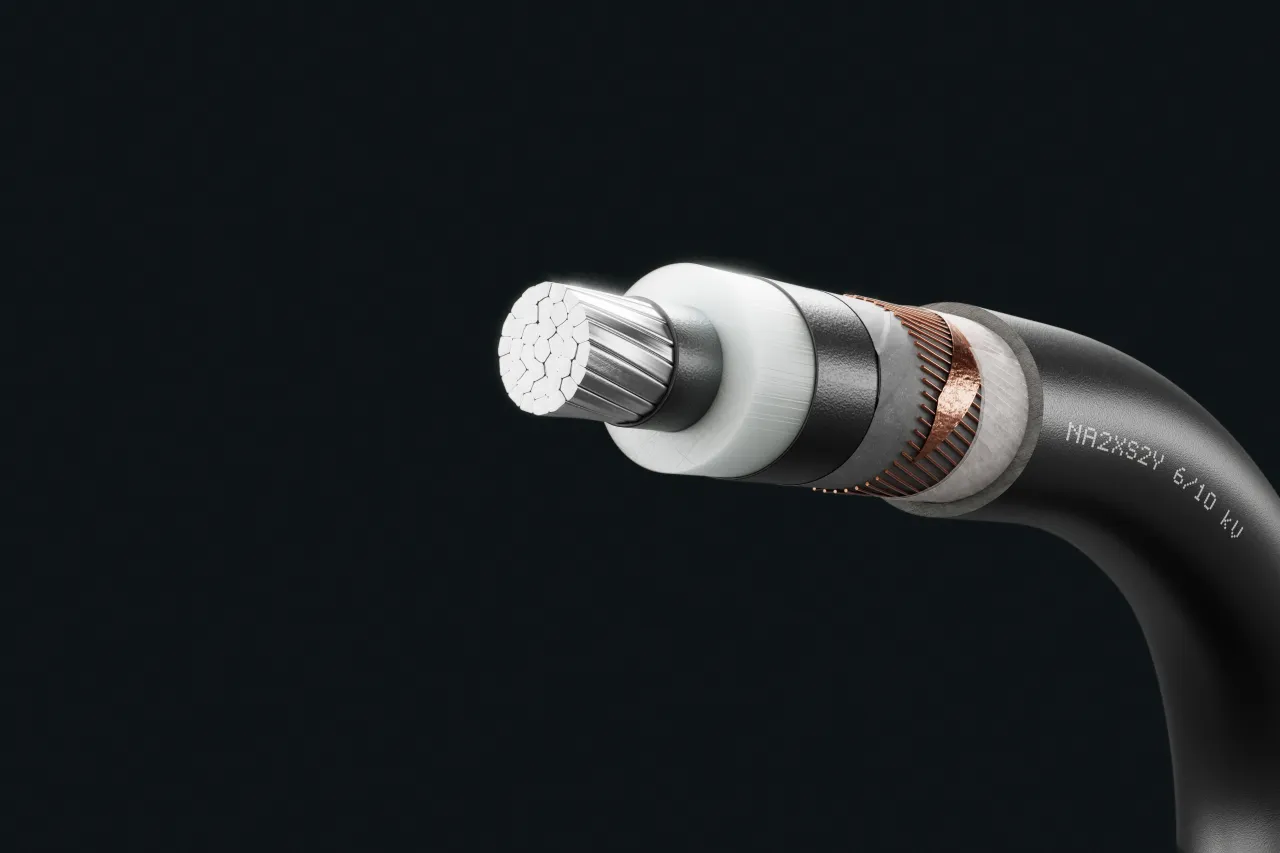 Cable image - NA2XS2Y 6/10 kV