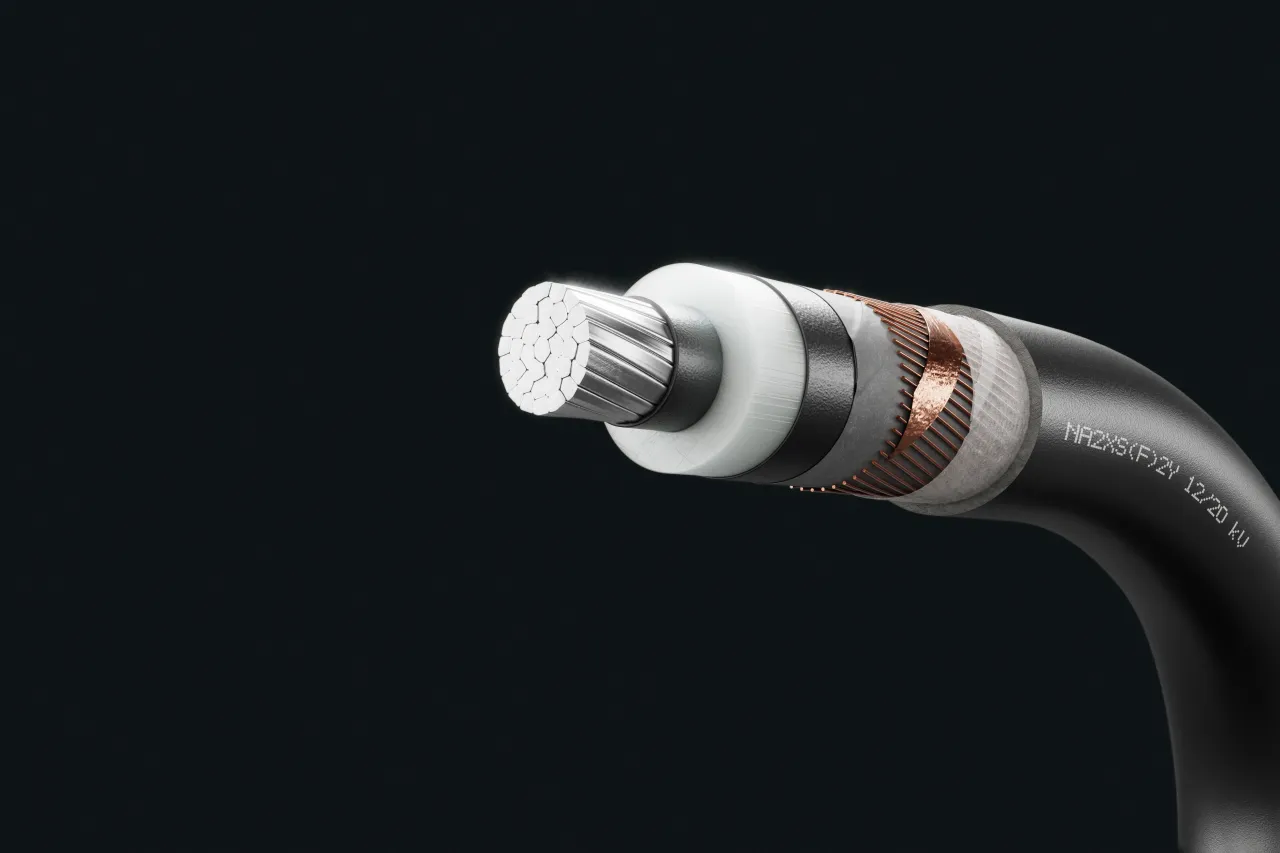 Cable image - NA2XS(F)2Y 12/20 kV