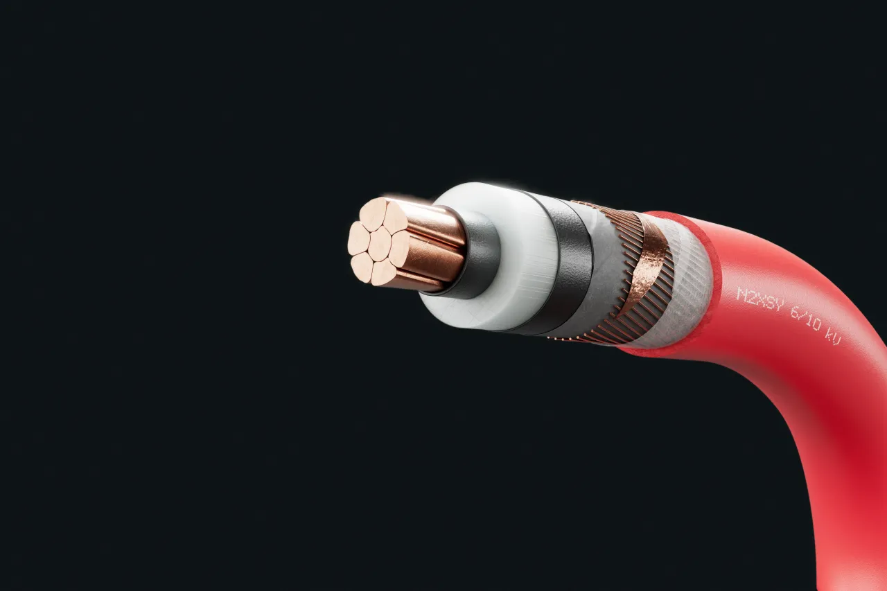 Kabelbild - N2XSY 6/10 kV