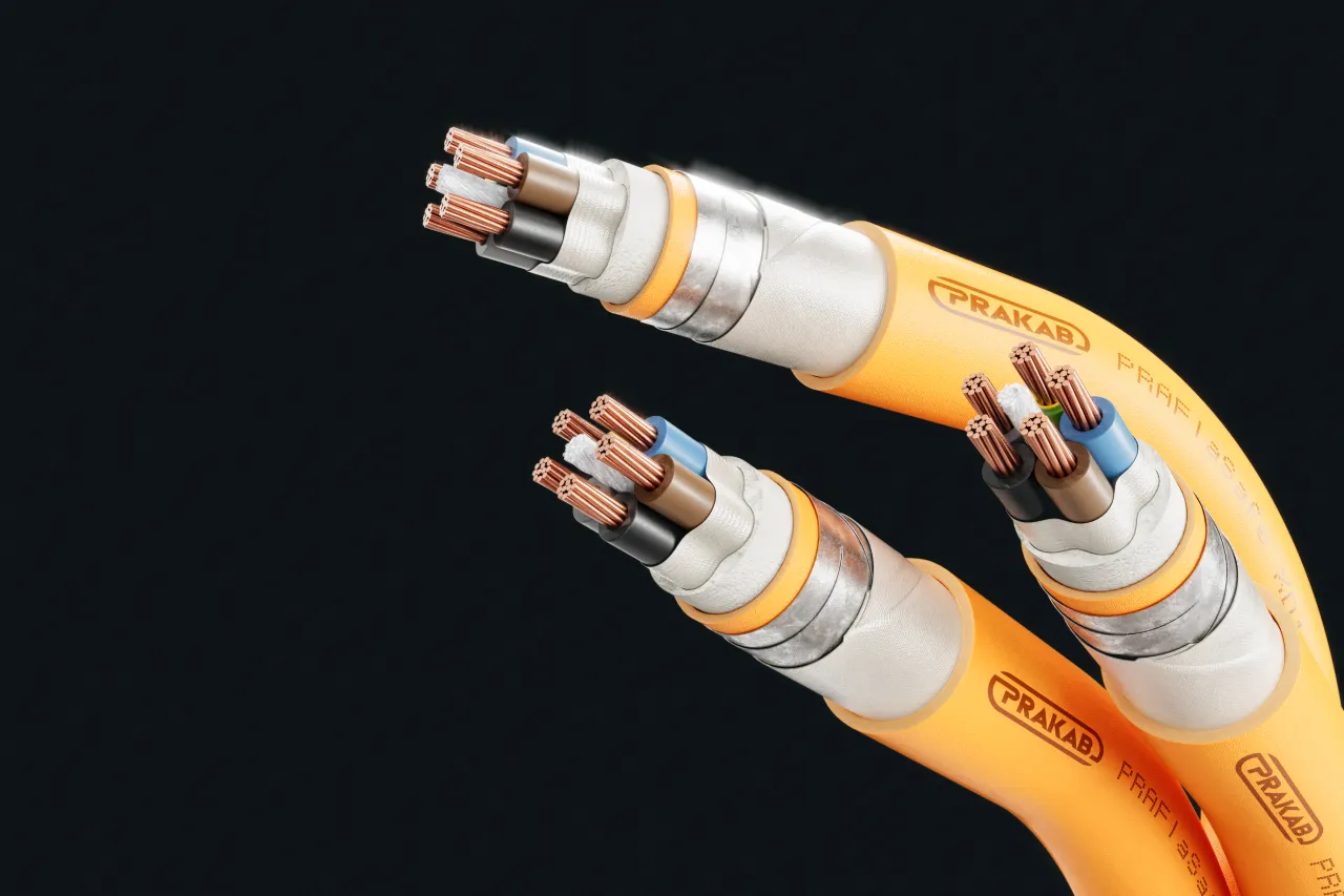 Cable image - PRAFlaSafe XD1