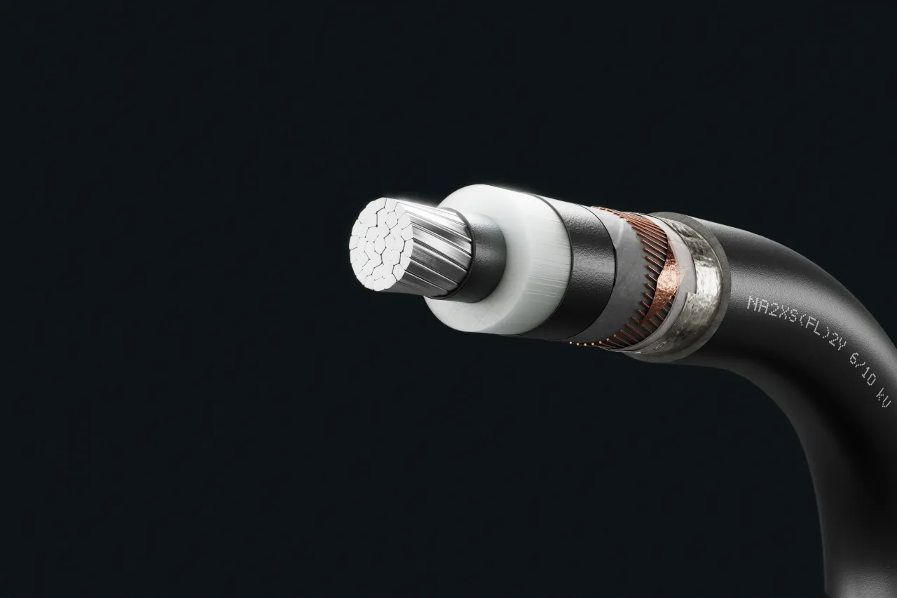 Kabelbild - NA2XS(FL)2Y 6/10 kV