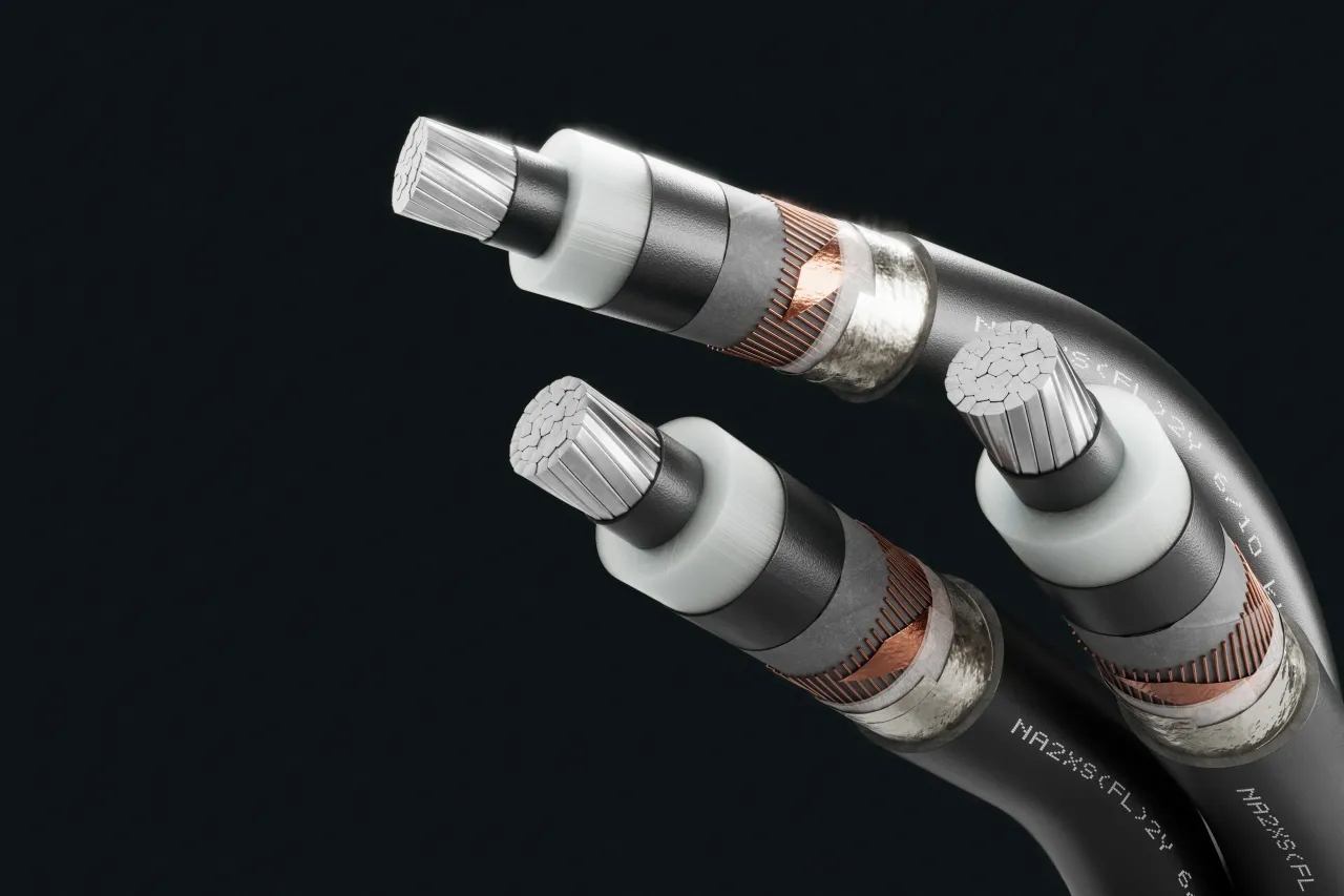 Kabelbild - NA2XS(FL)2Y 6/10 kV