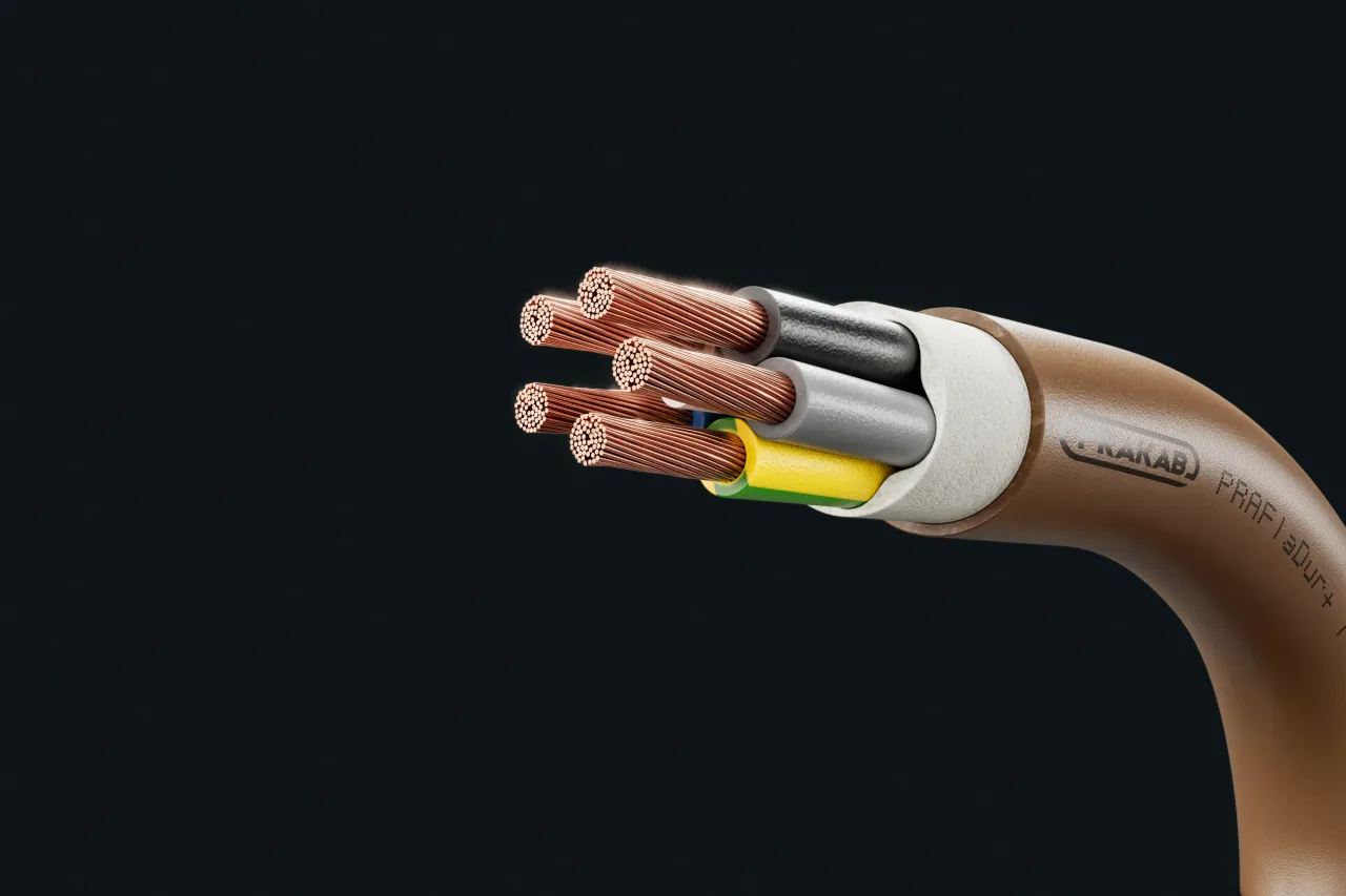 Cable image - PRAFlaDur+ T