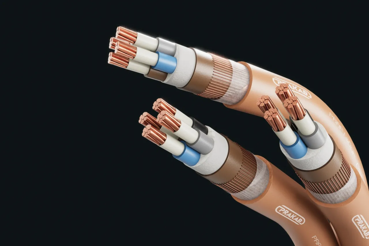 Cable image - PRAFlaDur C90